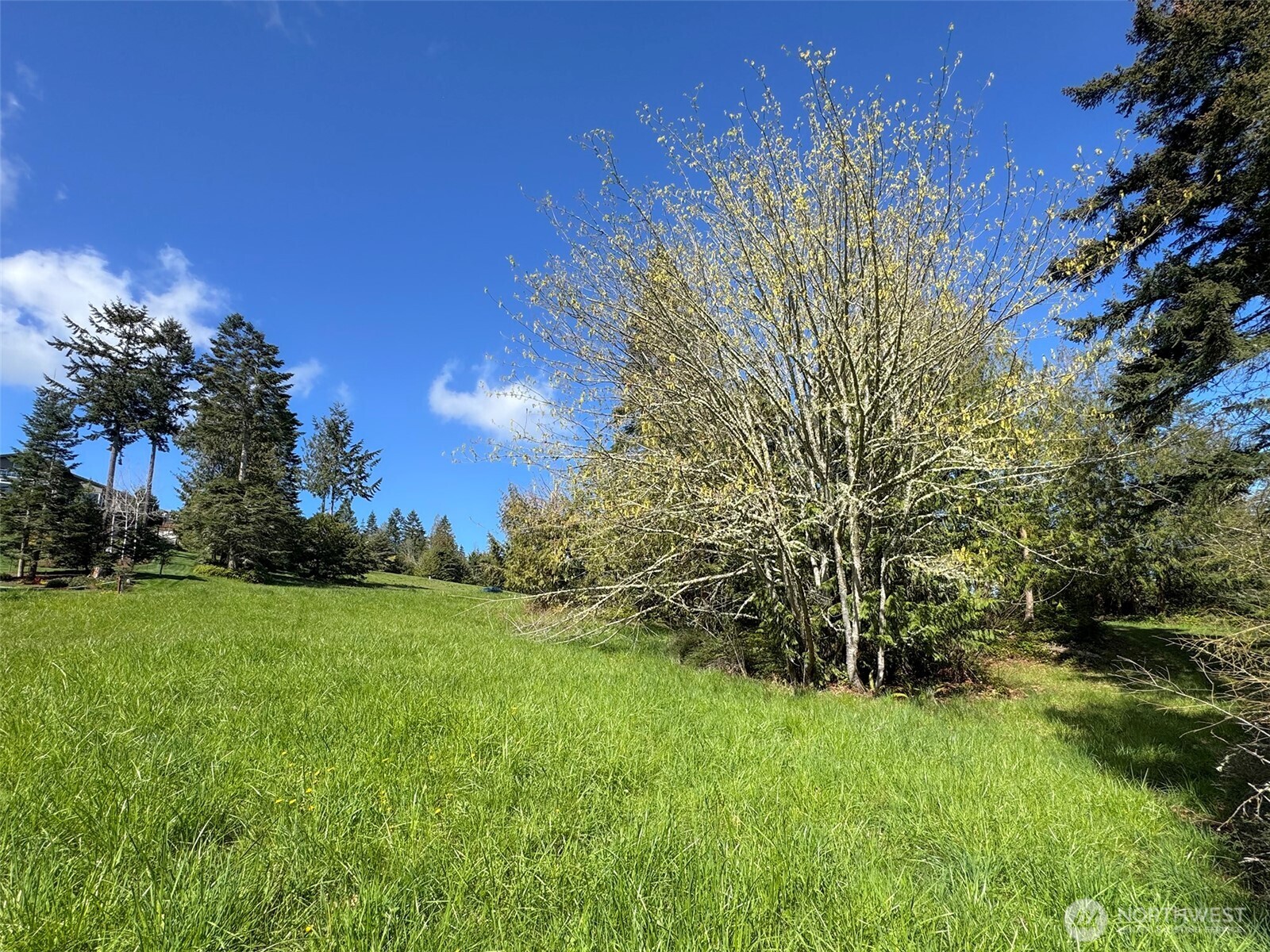 9999 Elks Pass Road Property Photo 13