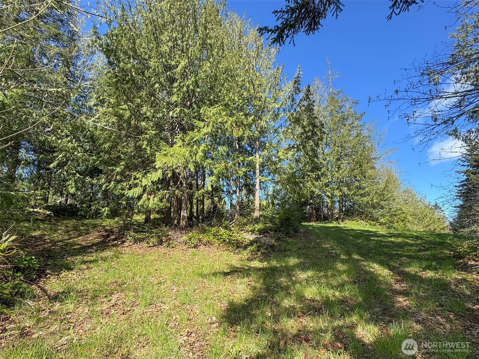 9999 Elks Pass Road Property Photo 14