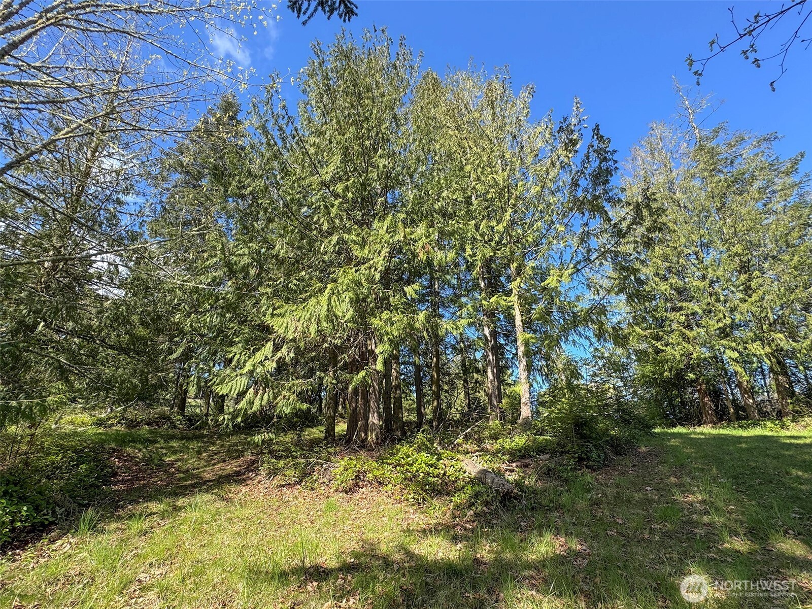 9999 Elks Pass Road Property Photo 15