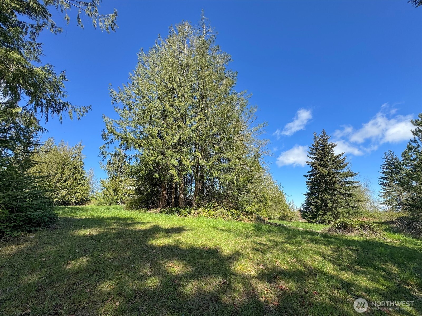 9999 Elks Pass Road Property Photo 16