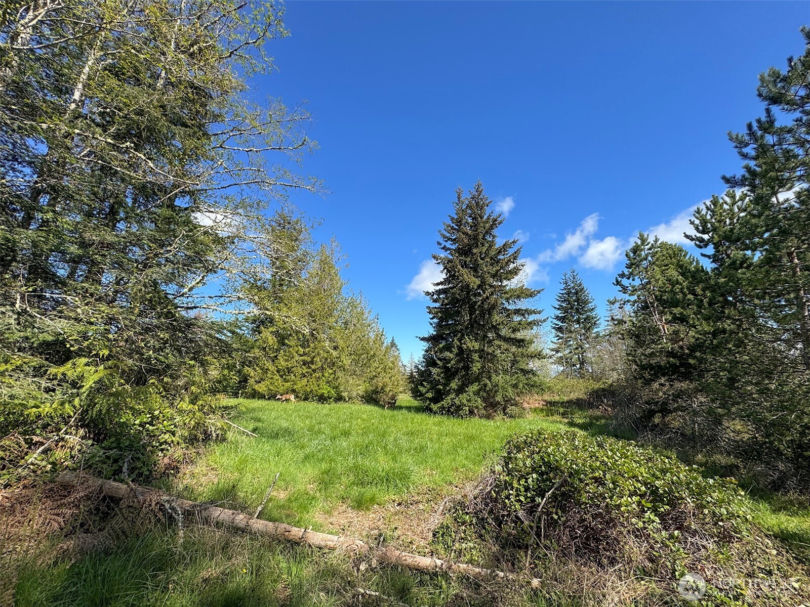 9999 Elks Pass Road Property Photo 18