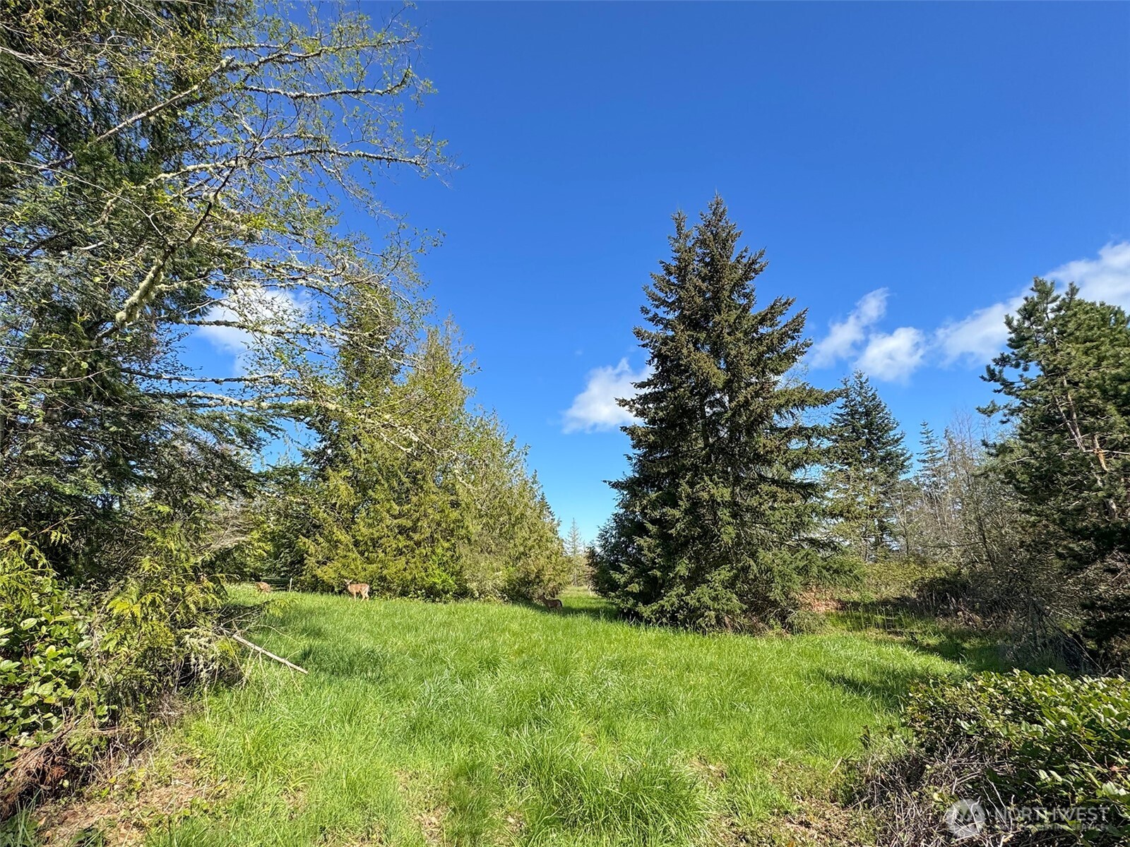 9999 Elks Pass Road Property Photo 19