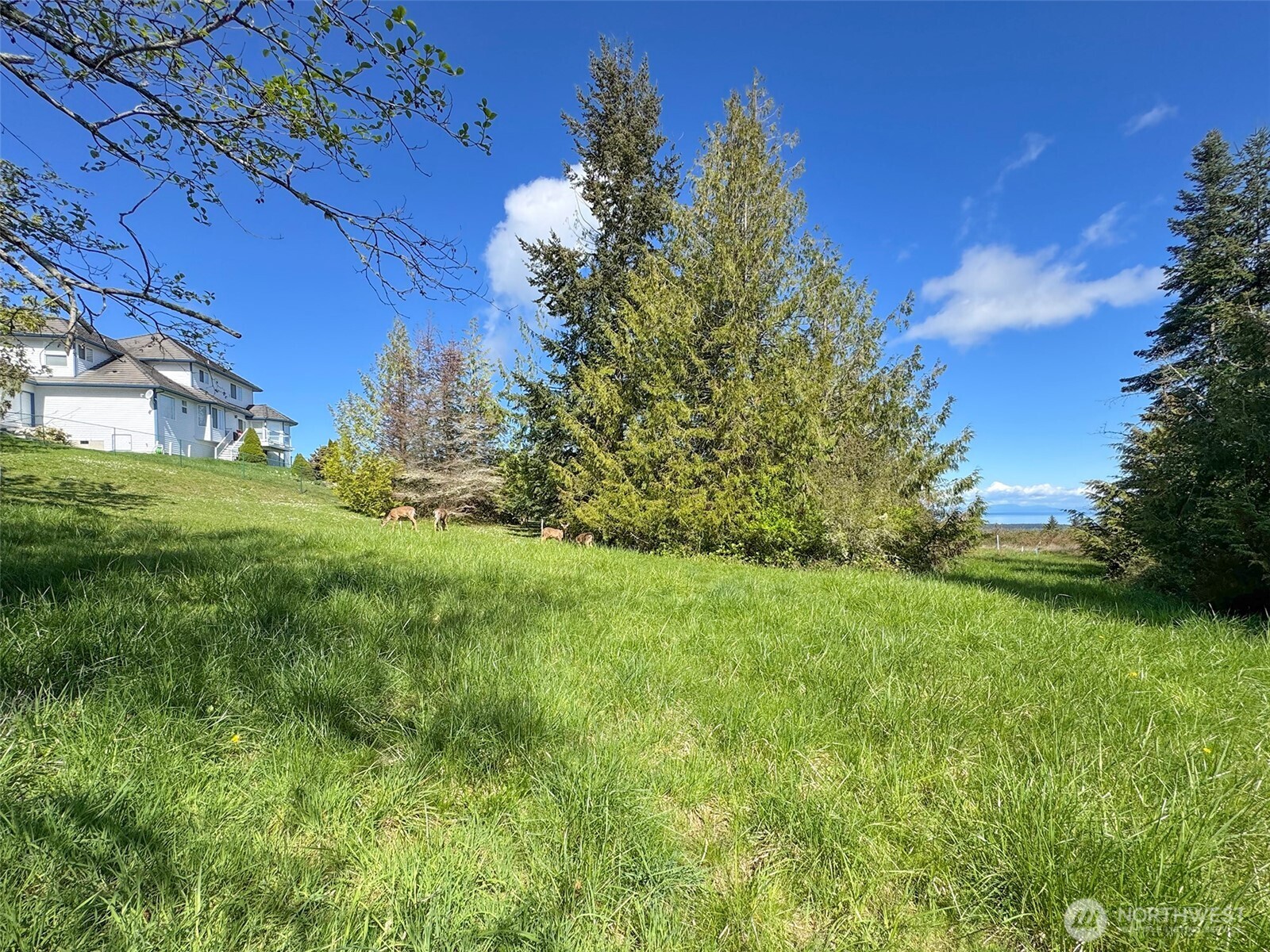 9999 Elks Pass Road Property Photo 20