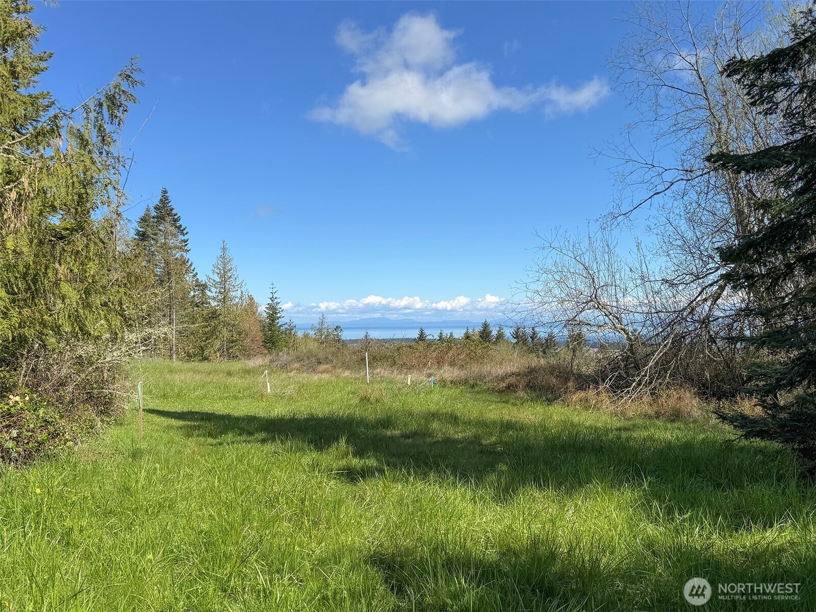 9999 Elks Pass Road Property Photo 21