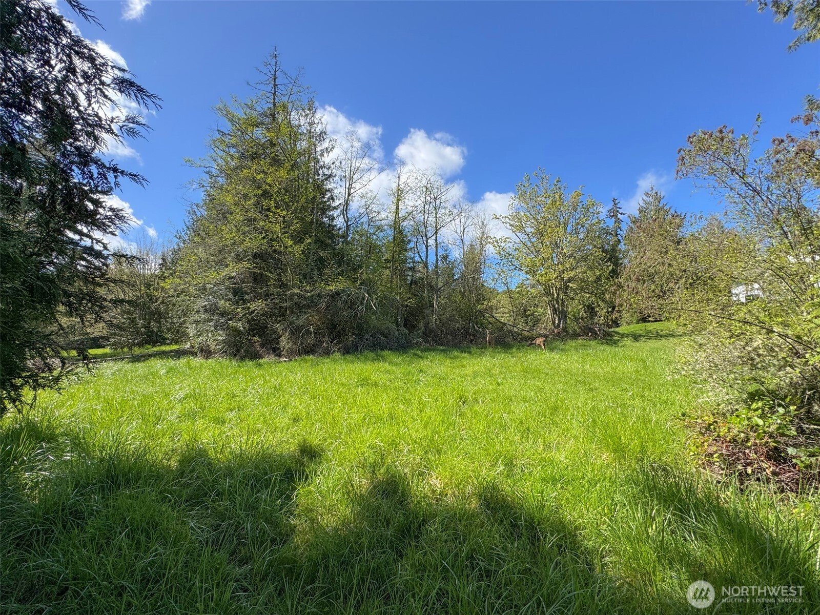 9999 Elks Pass Road Property Photo 28