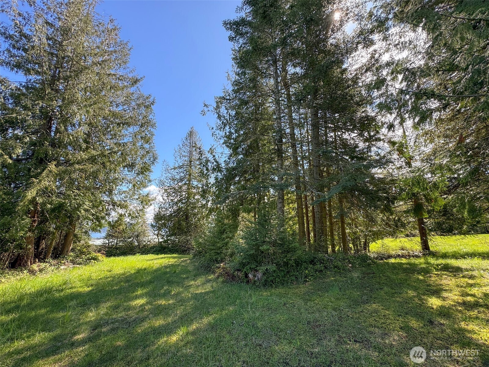 9999 Elks Pass Road Property Photo 31