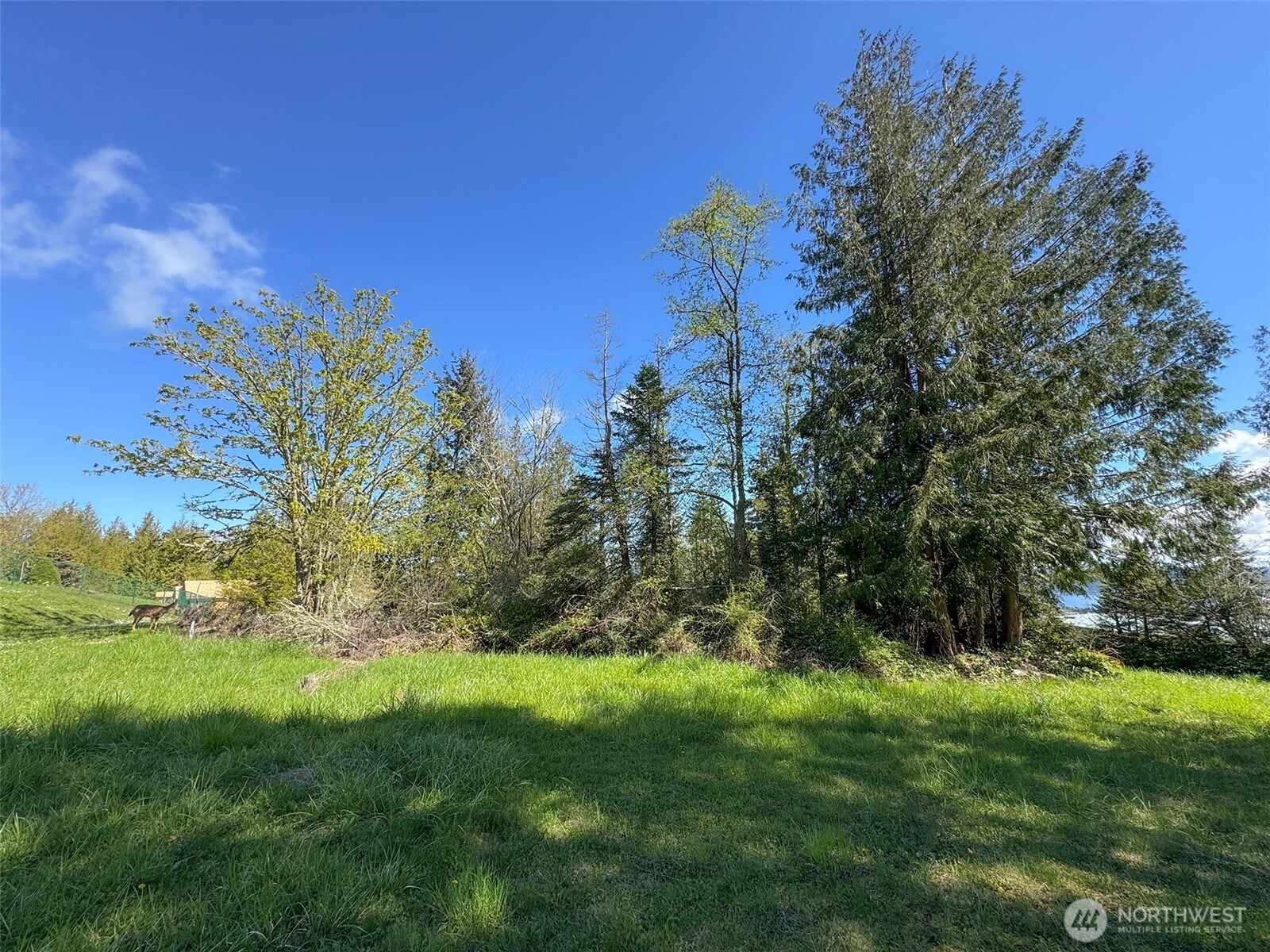 9999 Elks Pass Road Property Photo 32
