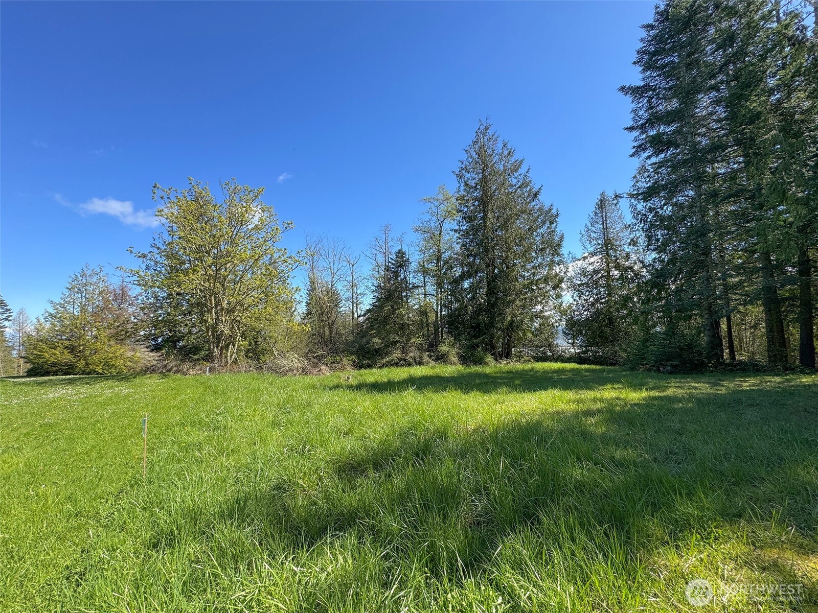 9999 Elks Pass Road Property Photo 34