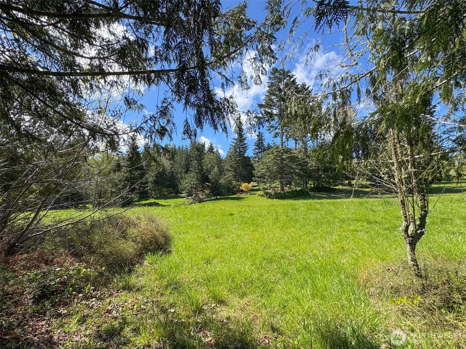 9999 Elks Pass Road Property Photo 36