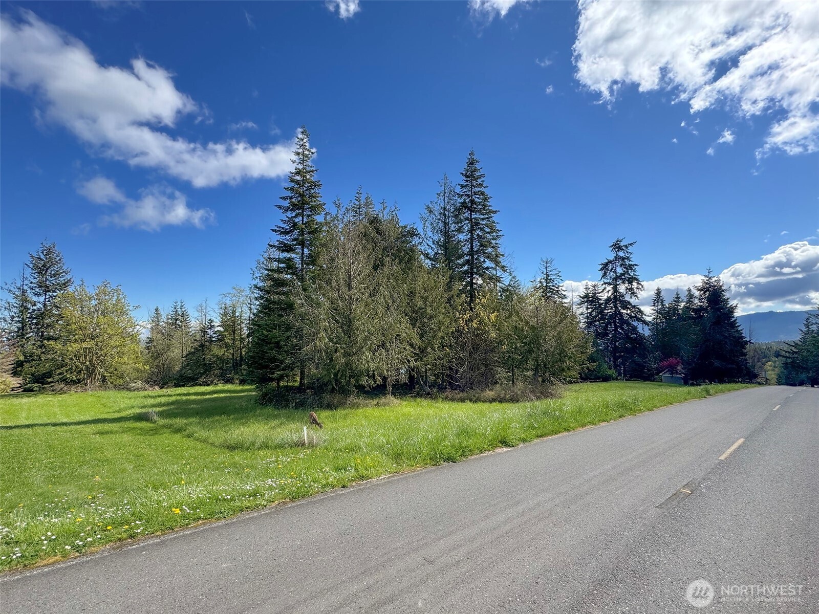 9999 Elks Pass Road Property Photo 37