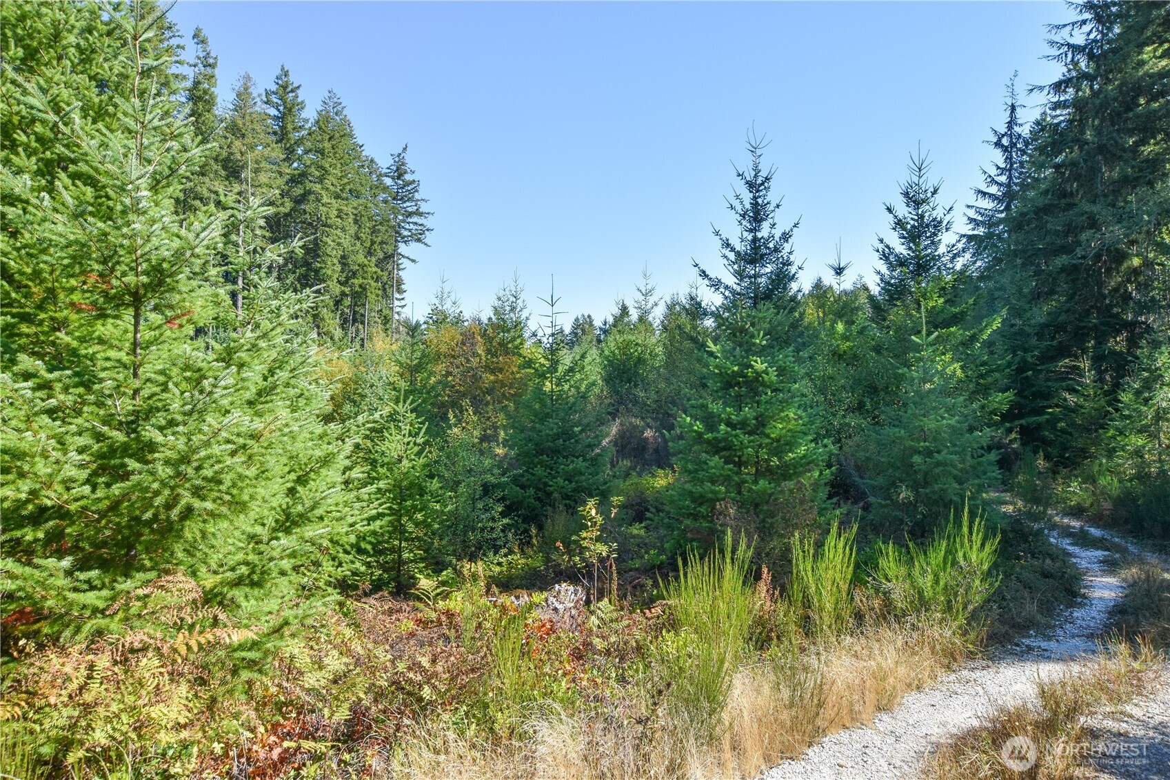 20 Acres Sw Hunter Road Property Photo 1