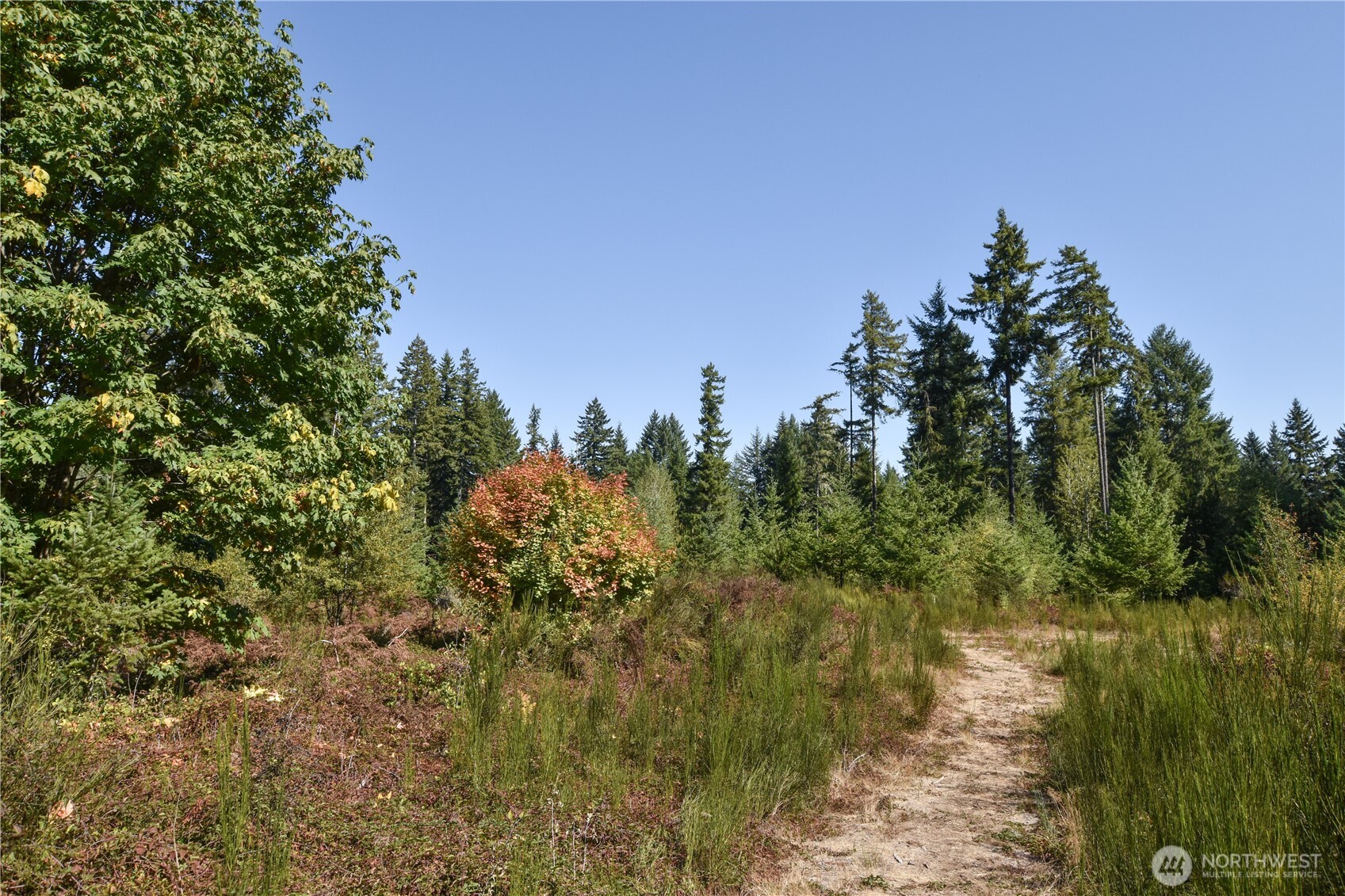 20 Acres Sw Hunter Road Property Photo 2