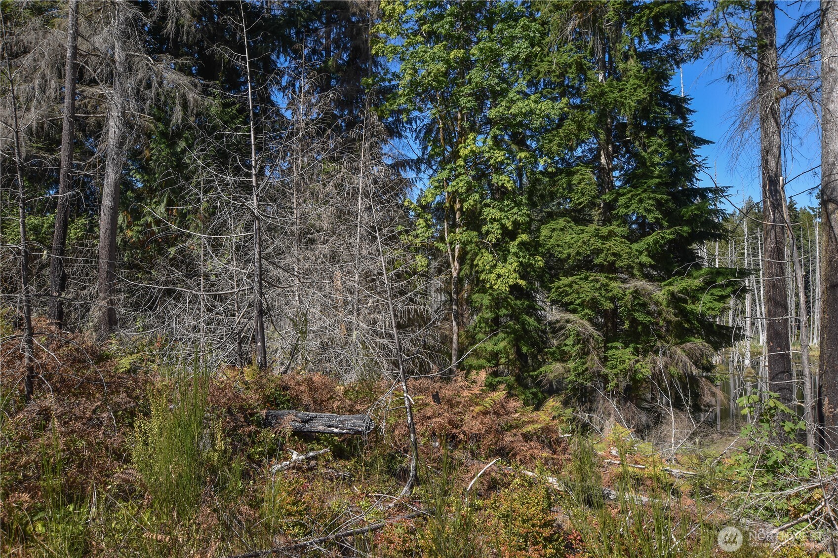 20 Acres Sw Hunter Road Property Photo 3