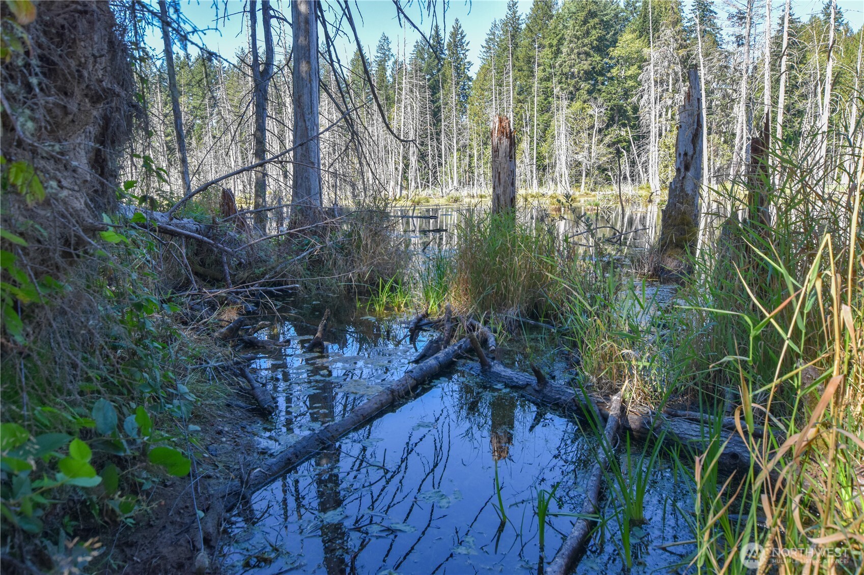 20 Acres Sw Hunter Road Property Photo 5