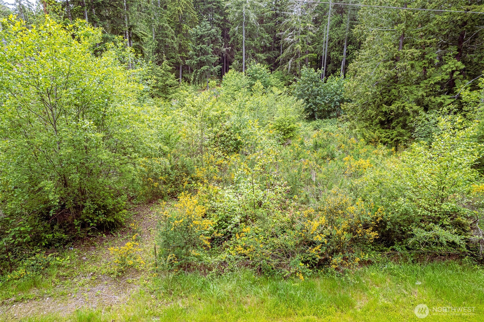 811 Herron Road Property Photo 9