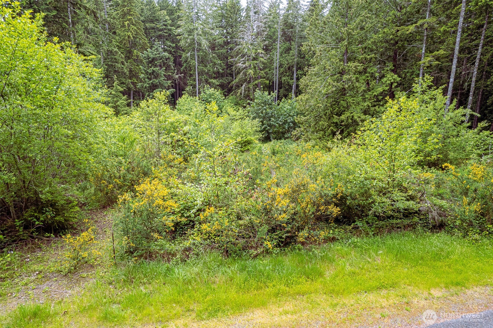 811 Herron Road Property Photo 10