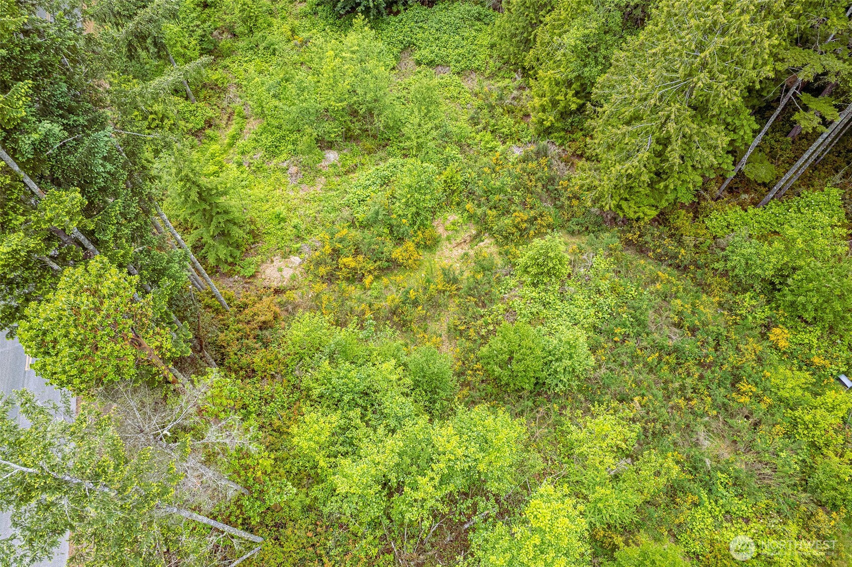 811 Herron Road Property Photo 8