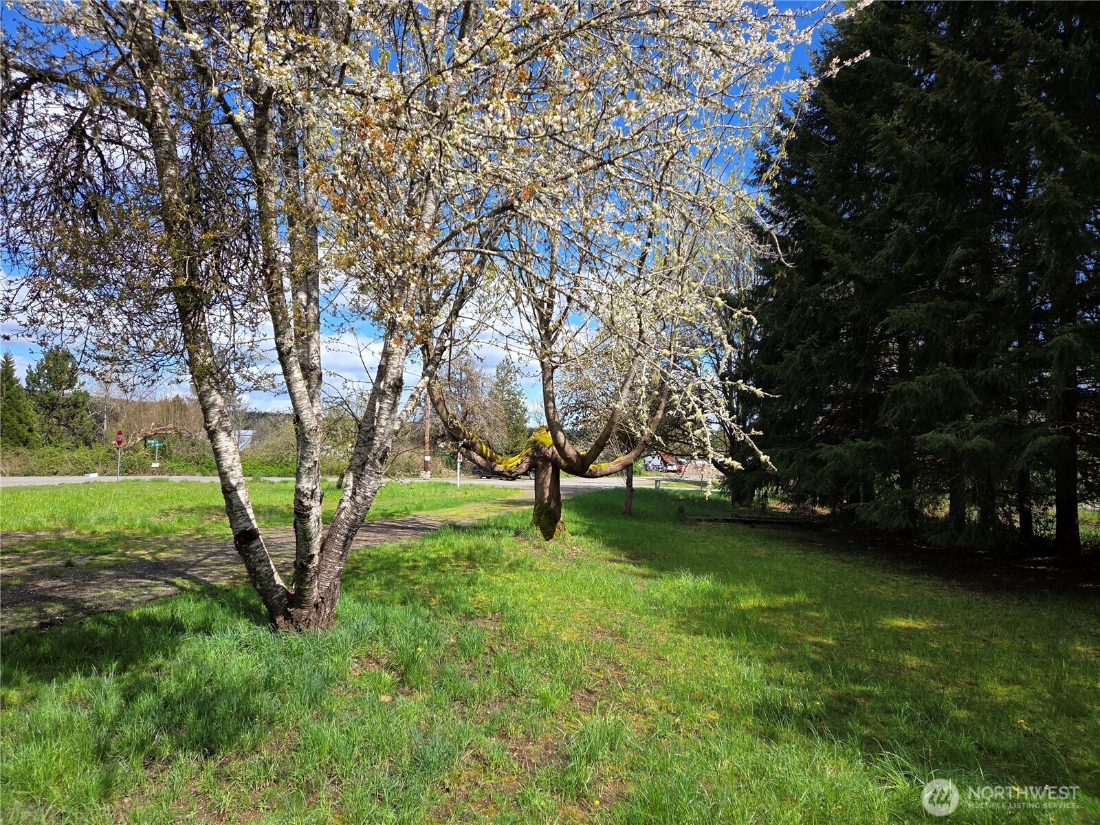 175 Stevens Road Property Photo 29