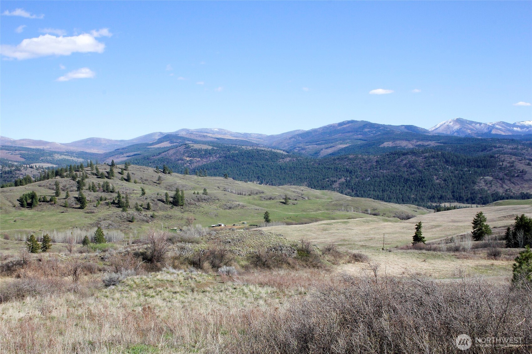 299 Vulcan Mountain Road Property Photo 38