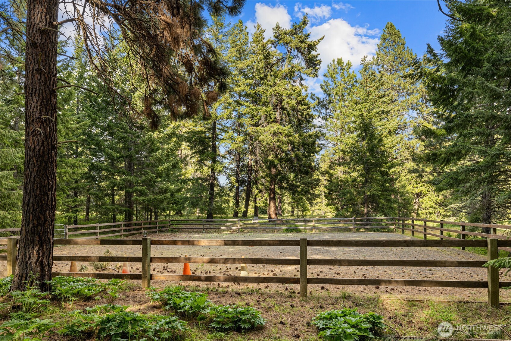 1101 Emerick Road Property Photo 15