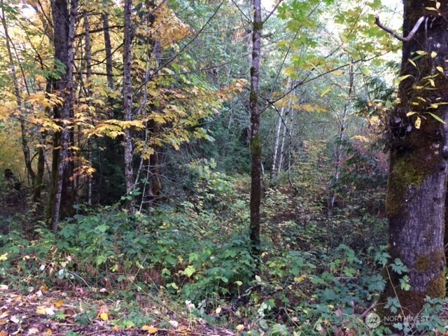 25116 Se 146th Street Property Photo 1