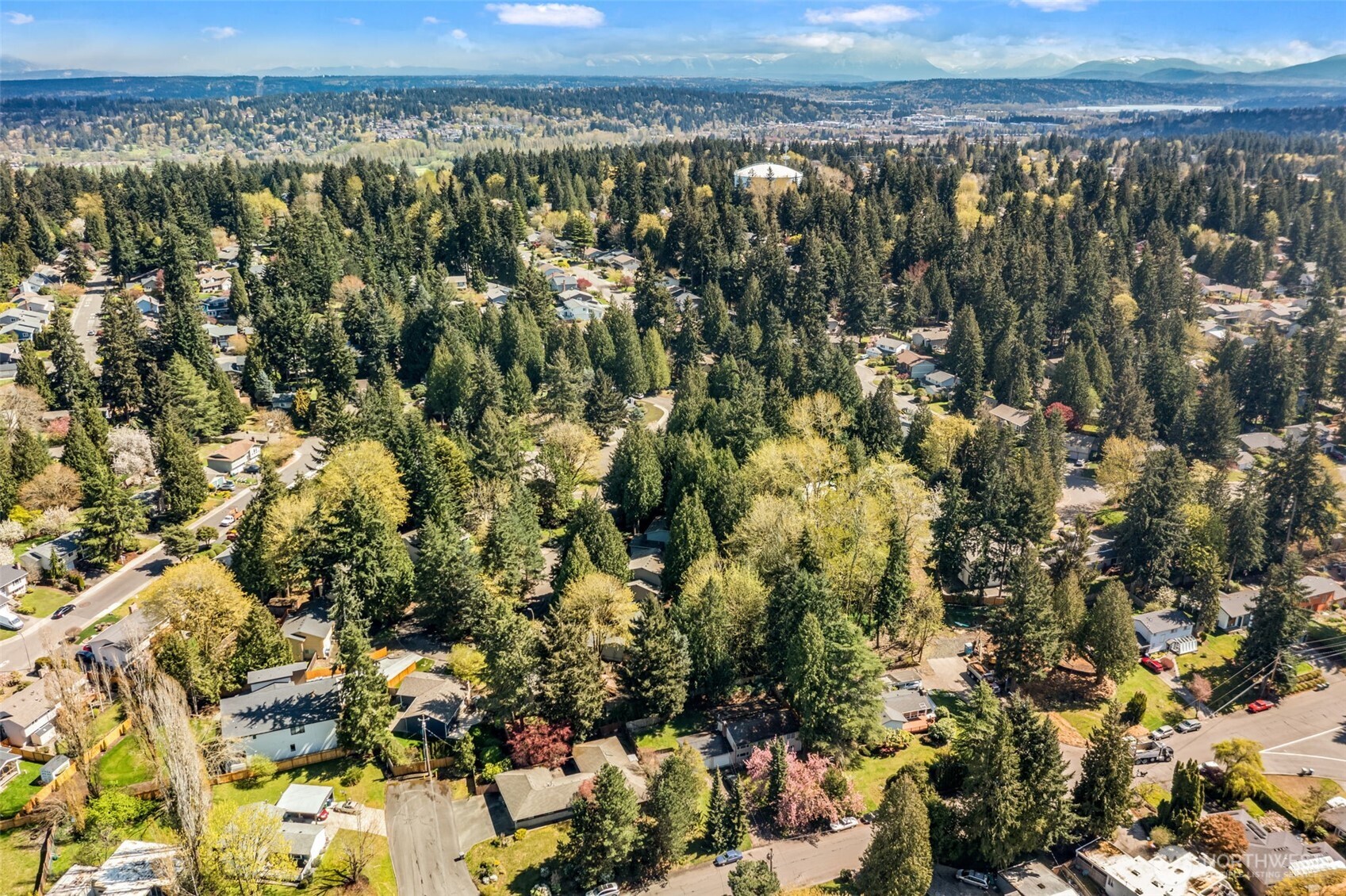 12604 109th Pl Property Photo 4