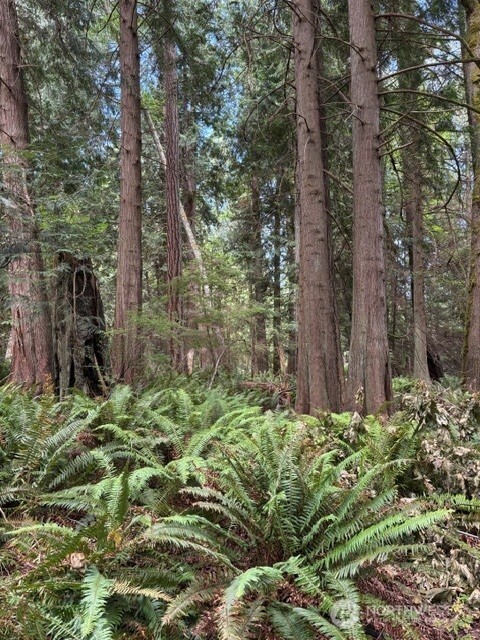 16230 Agate Pass Road Lot B Property Photo 3