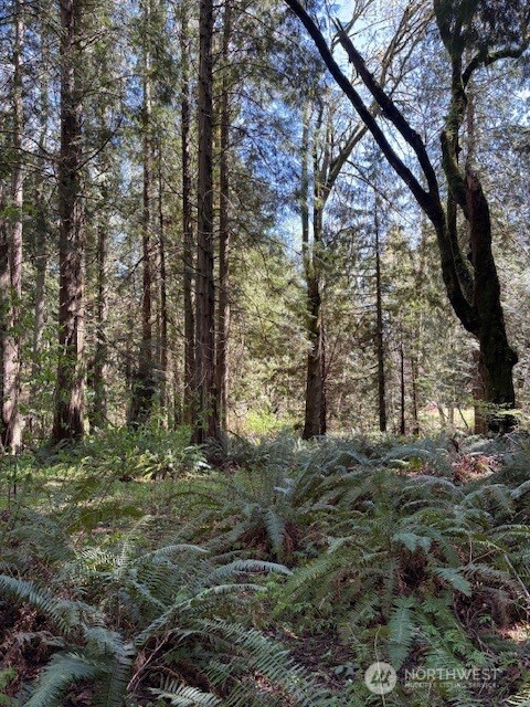 16230 Agate Pass Road Lot B Property Photo 8
