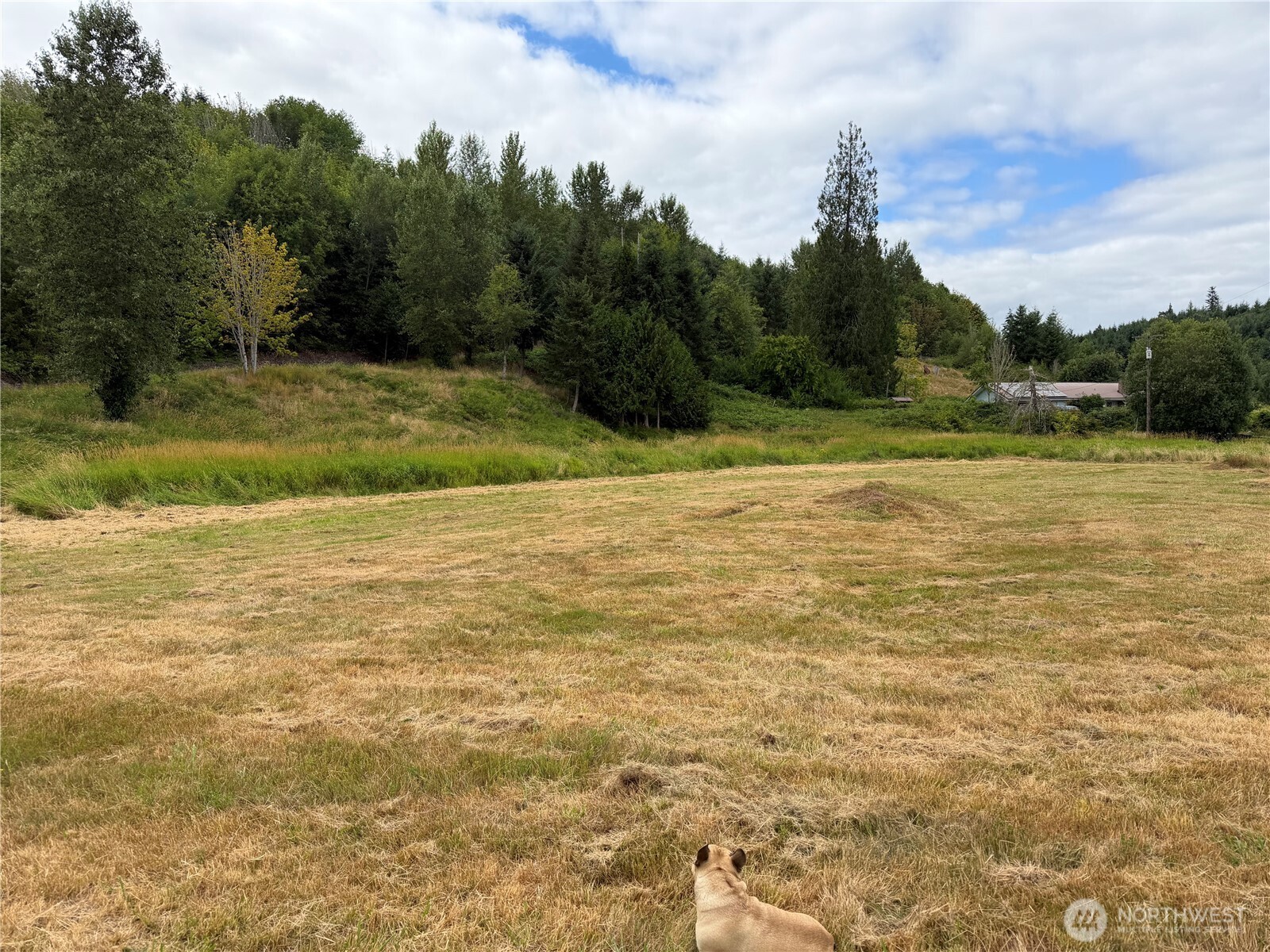 102 Seroshek Lane Property Photo 2