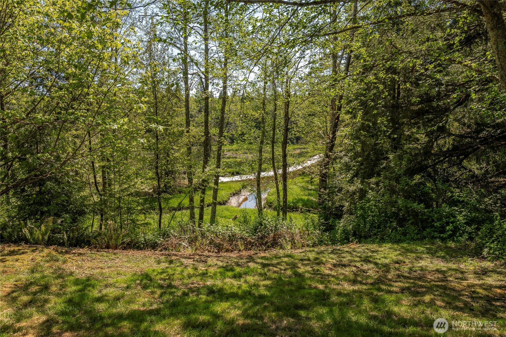 4003 Hoier Property Photo 14
