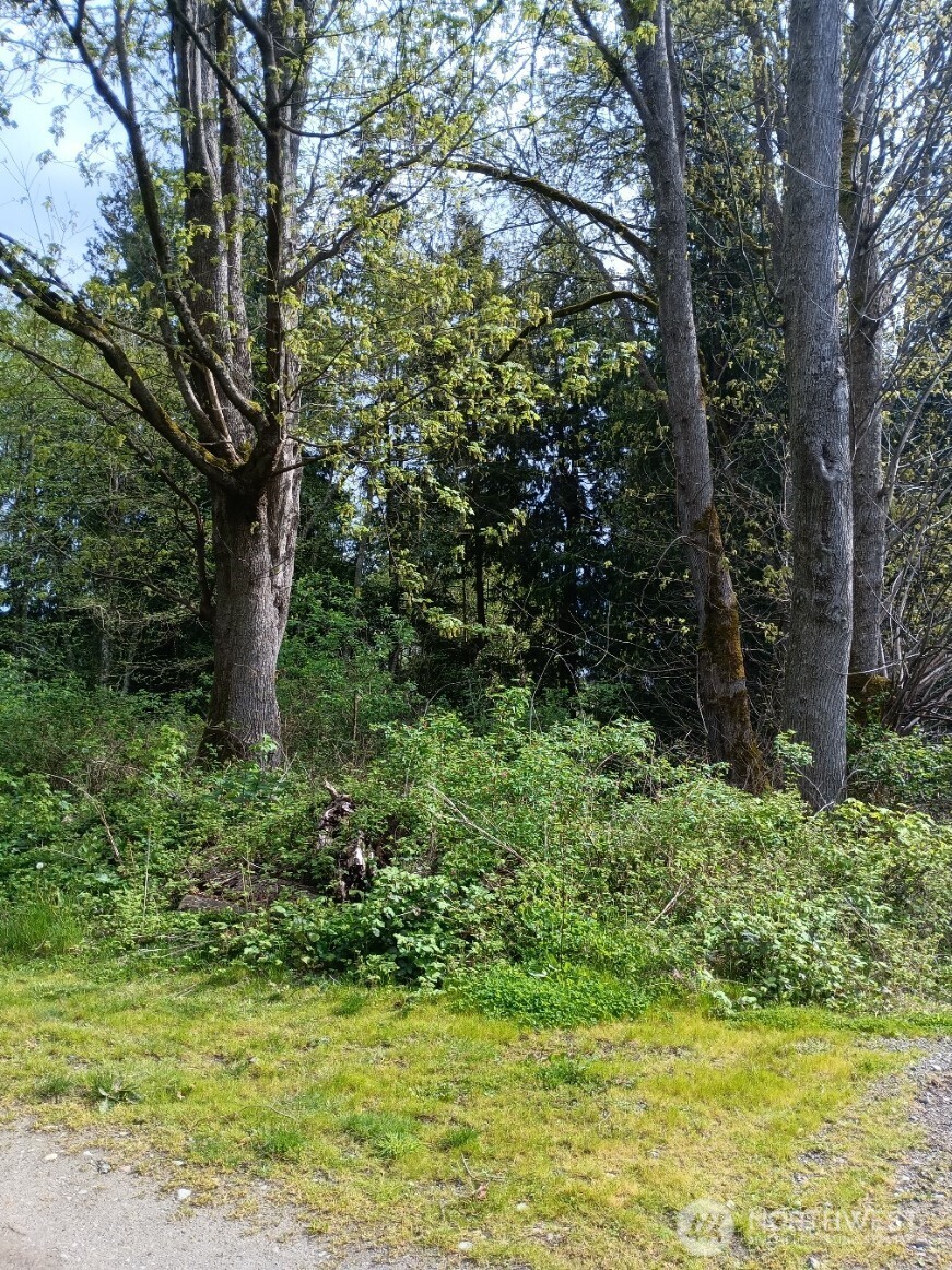 16 M Olympic Drive Property Photo 3