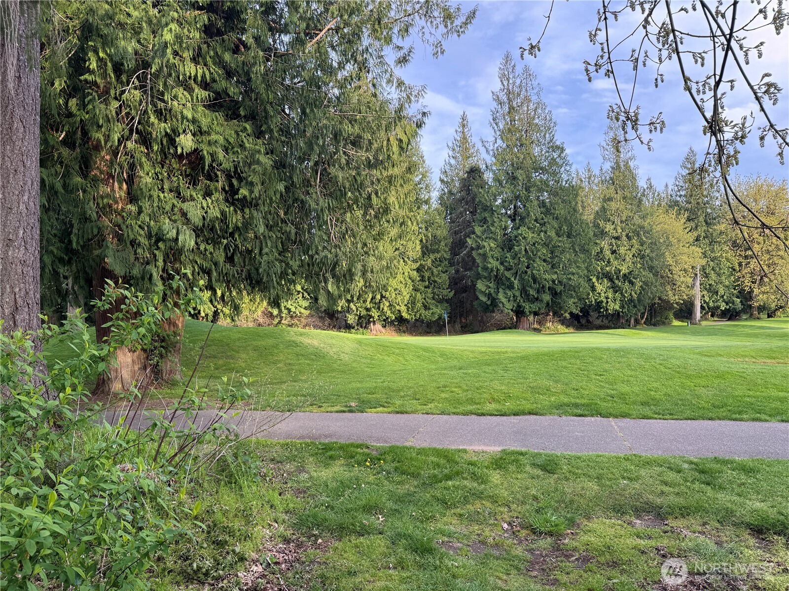 3726 Kinsale Lane Property Photo 10