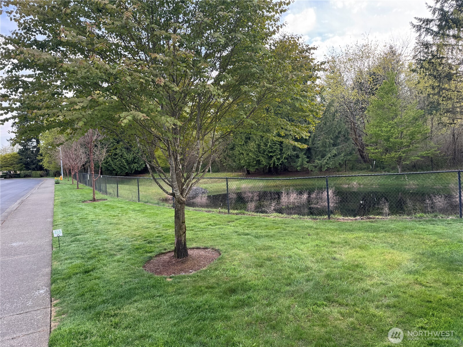 3726 Kinsale Lane Property Photo 14