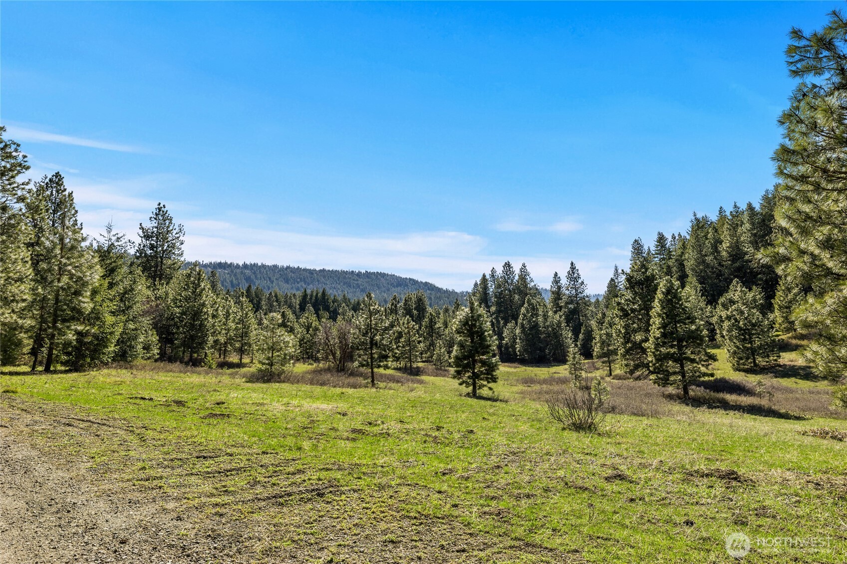0 Xxx Thornton Creek Lane Property Photo 1