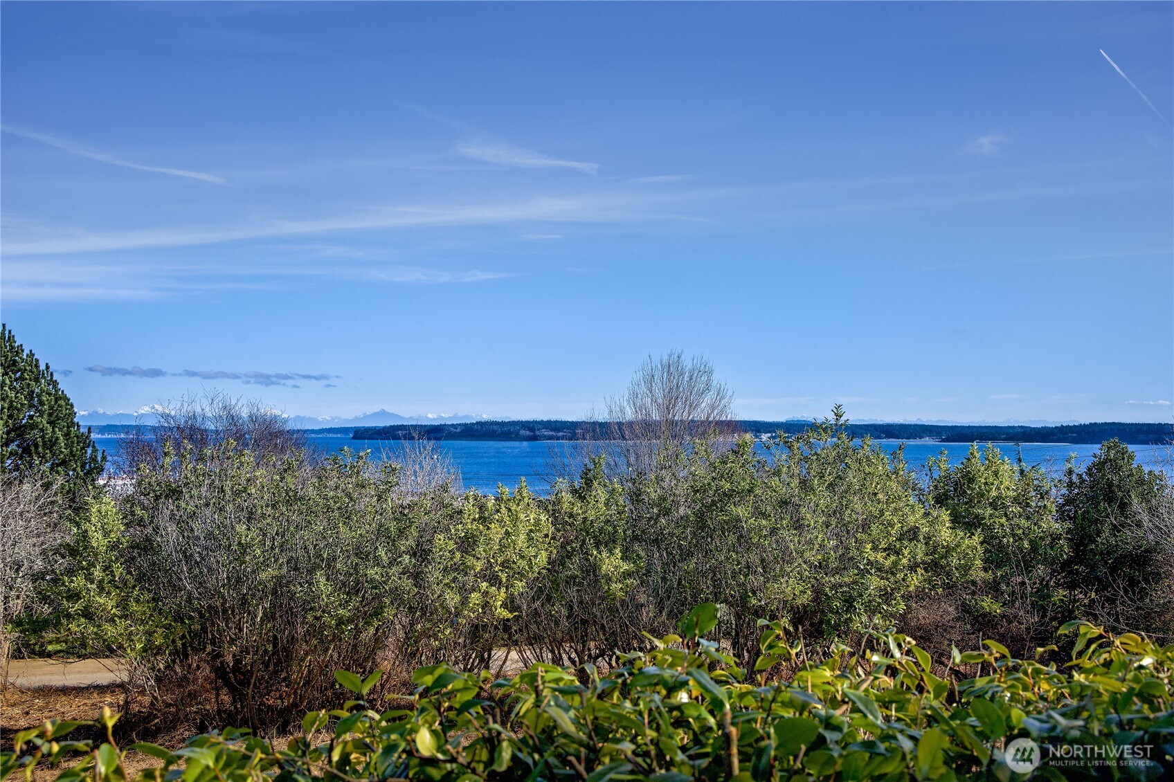 808 Gise Street Property Photo 11
