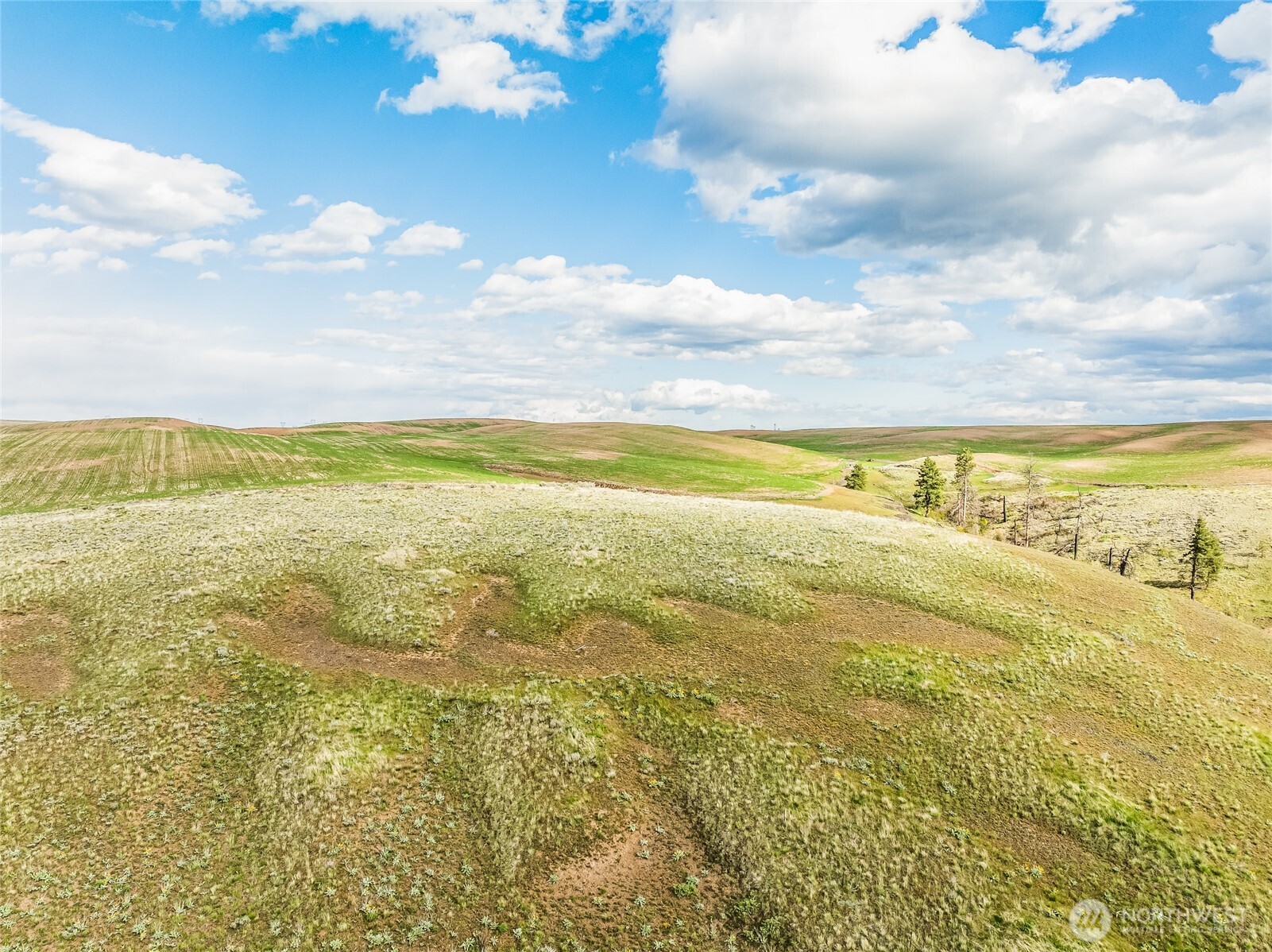 10 Lot 9 Chelan Hills Acres Rd Property Photo 7