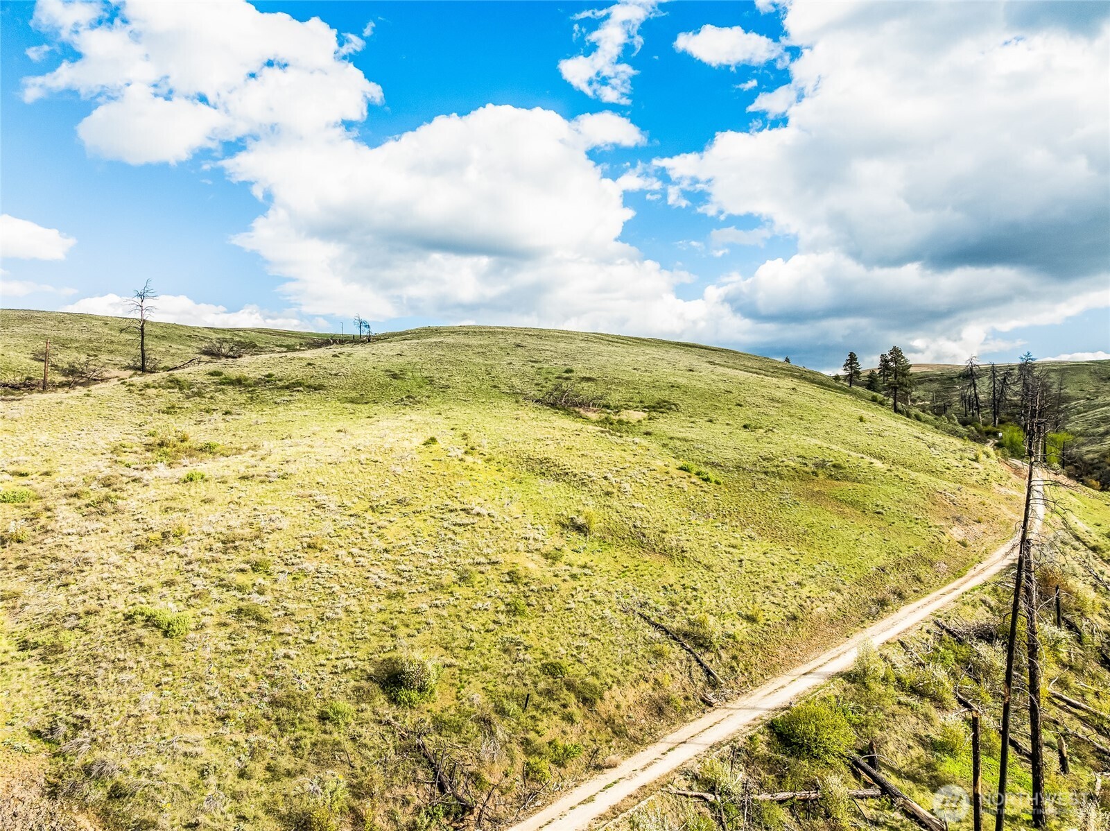 10 Lot 9 Chelan Hills Acres Rd Property Photo 13