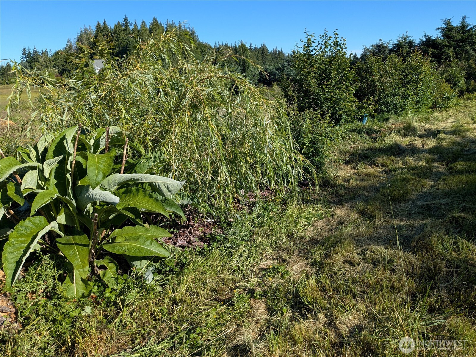 5351 Dinkel Road Property Photo 19