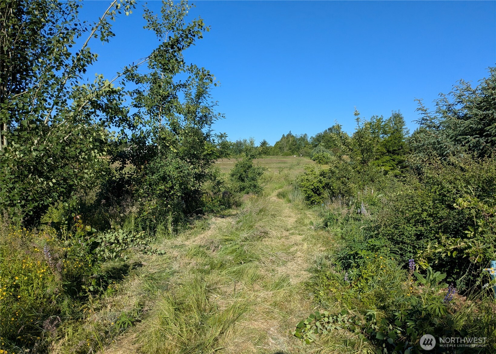 5351 Dinkel Road Property Photo 20