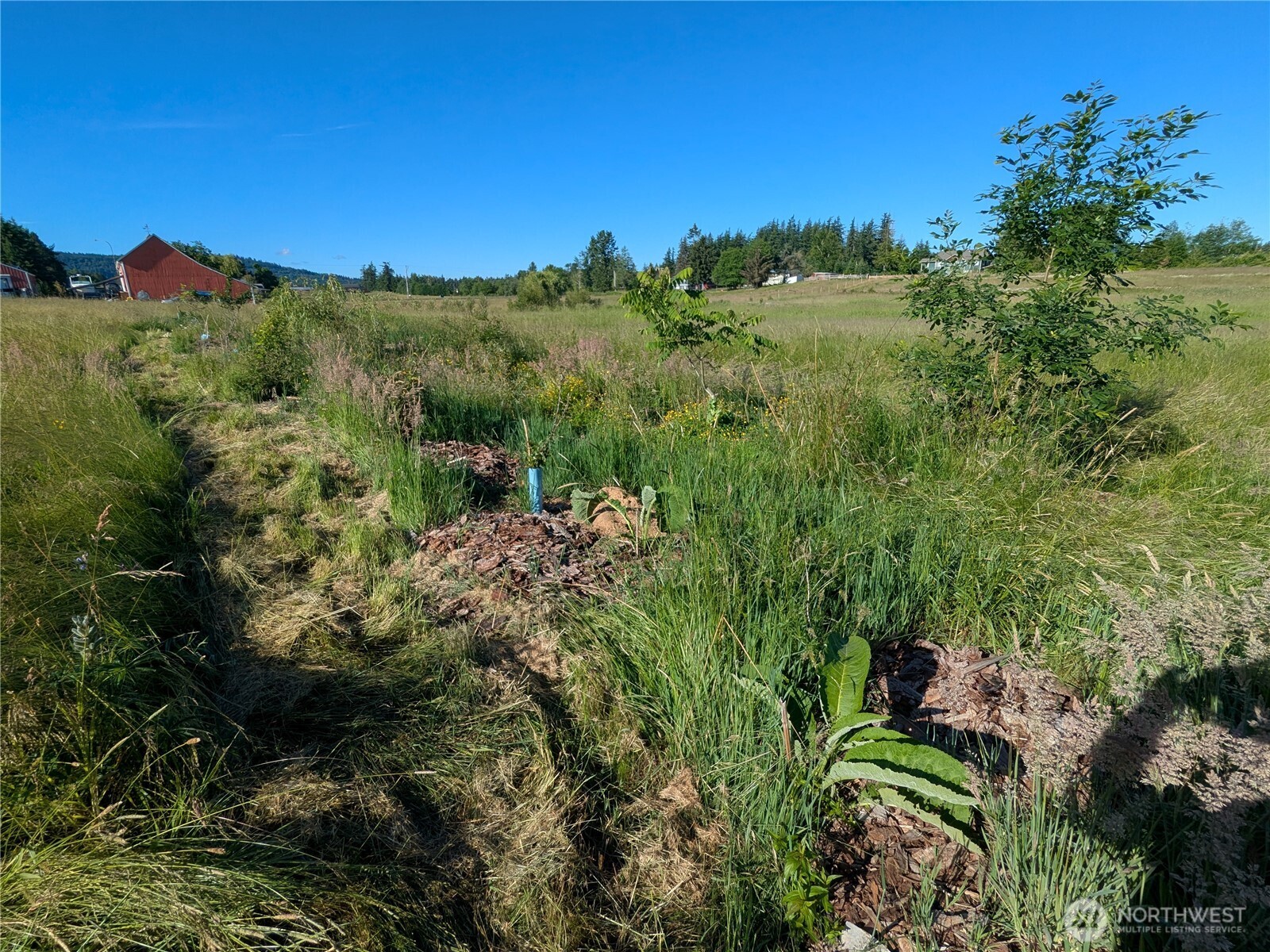 5351 Dinkel Road Property Photo 21