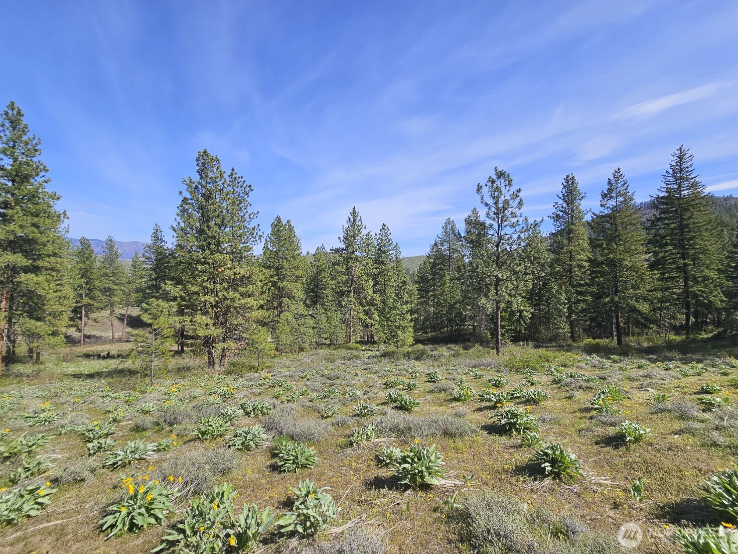 9 Whitebark Lane Property Photo 6
