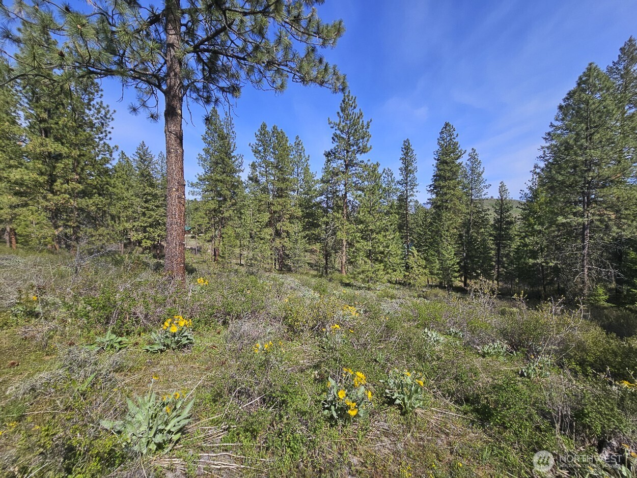 9 Whitebark Lane Property Photo 7