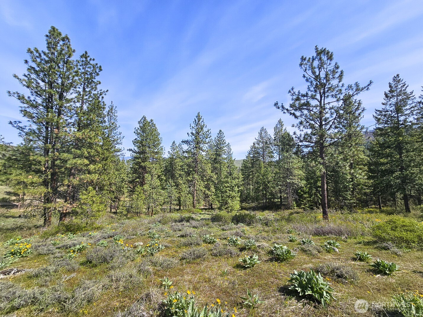 9 Whitebark Lane Property Photo 10