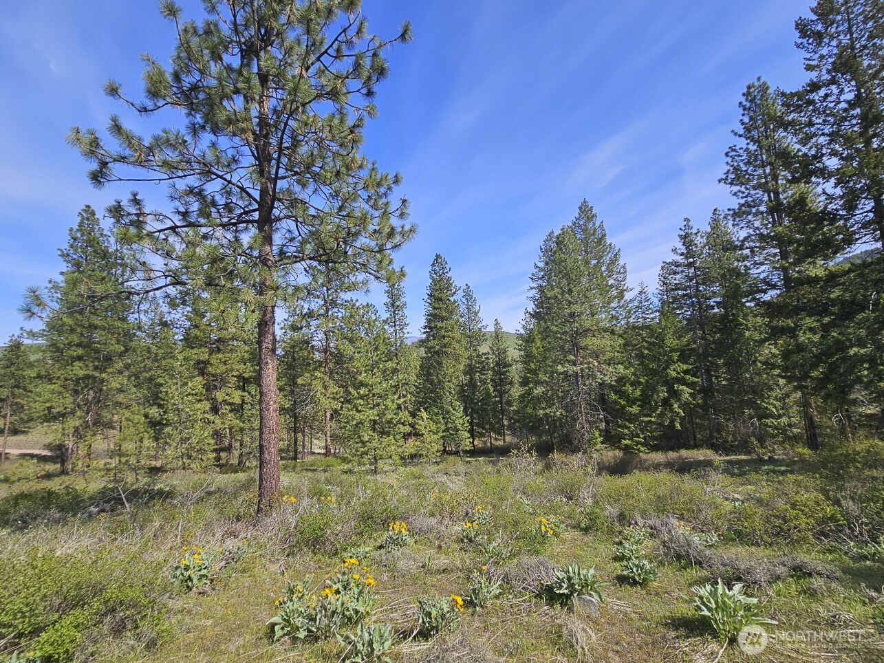 9 Whitebark Lane Property Photo 25
