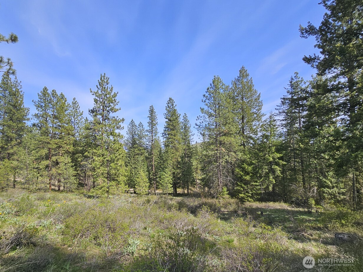 9 Whitebark Lane Property Photo 26