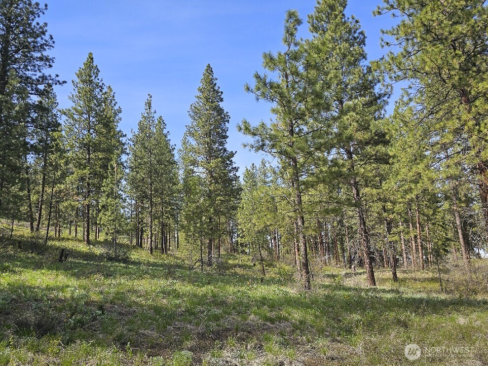 9 Whitebark Lane Property Photo 28