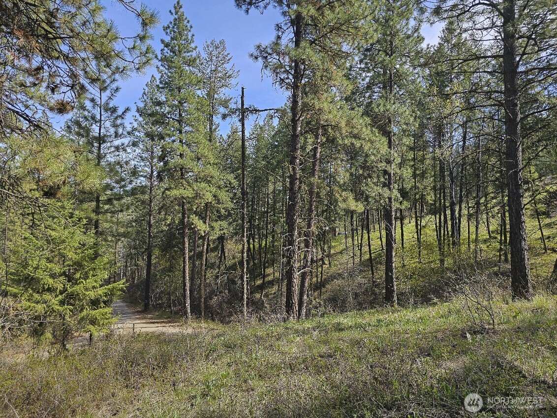 9 Whitebark Lane Property Photo 29