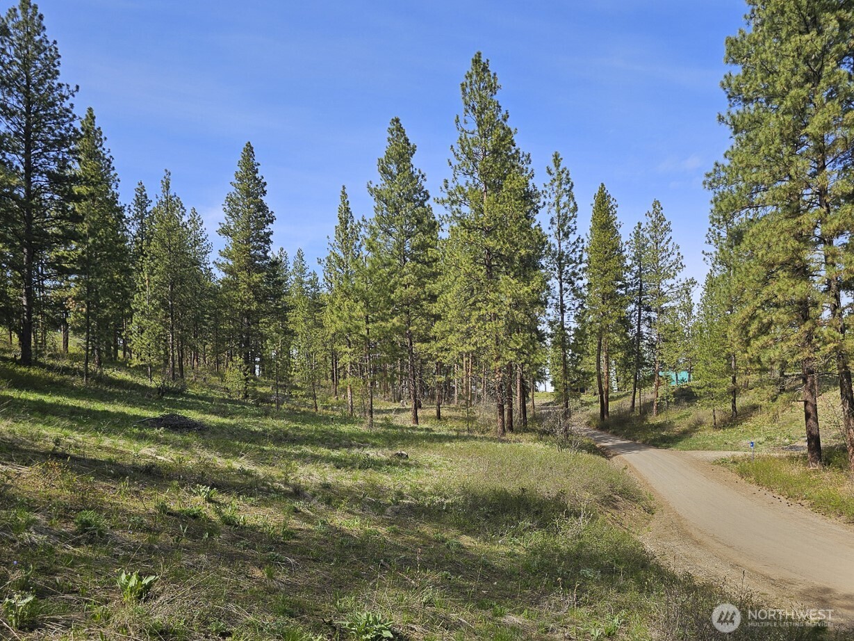 9 Whitebark Lane Property Photo 31