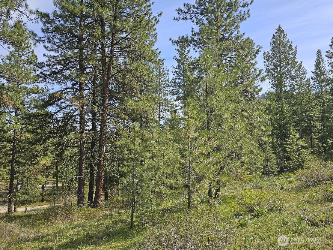 9 Whitebark Lane Property Photo 33