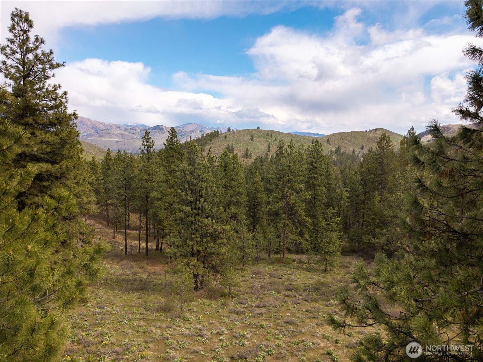 9 Whitebark Lane Property Photo 1